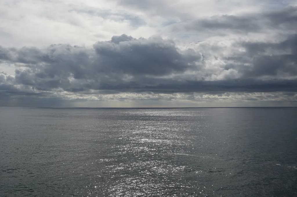 DSC08648 2 1