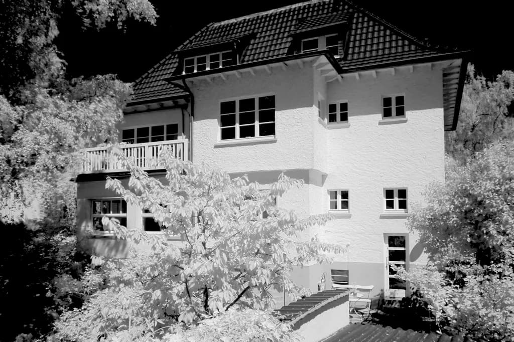 P5130023 Kopie